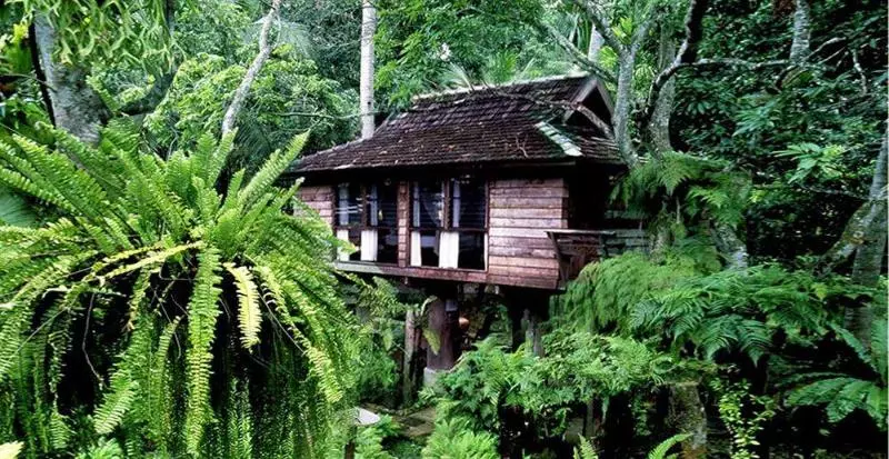 בית מלון כפרי Fern Paradise