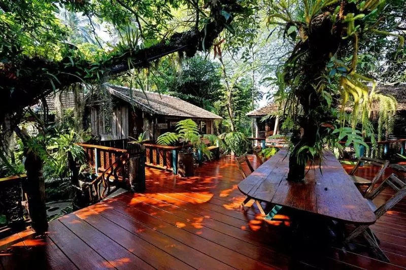 בית מלון כפרי Fern Paradise