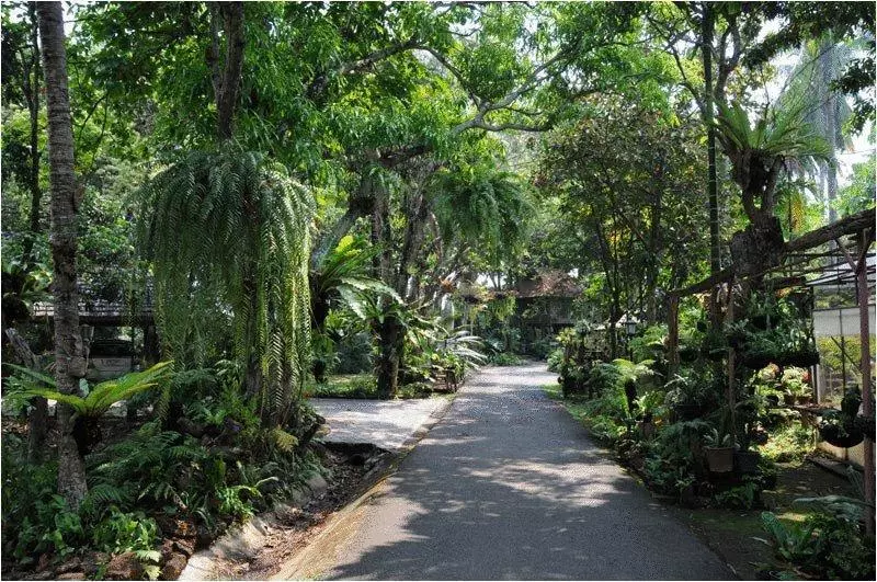 בית מלון כפרי Fern Paradise