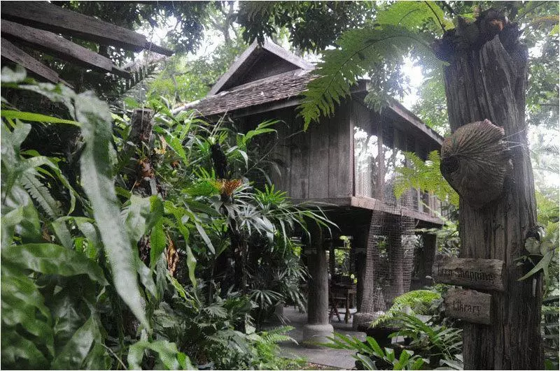 בית מלון כפרי Fern Paradise