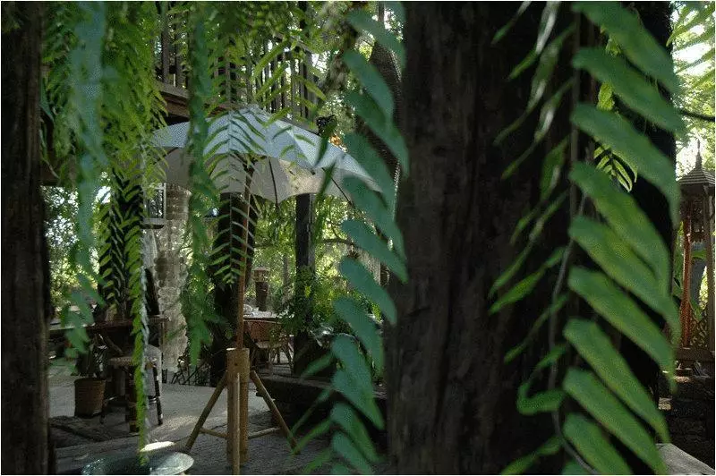בית מלון כפרי Fern Paradise