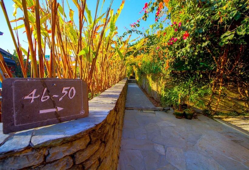 هتل Temple Tree Resort & Spa