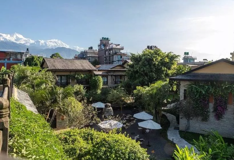 هتل Temple Tree Resort & Spa