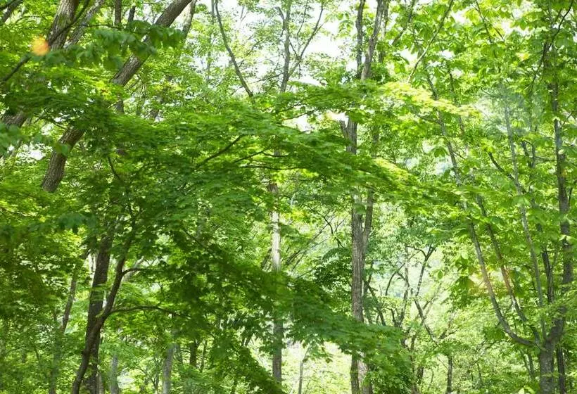 Nojiriko Hotel El Bosco