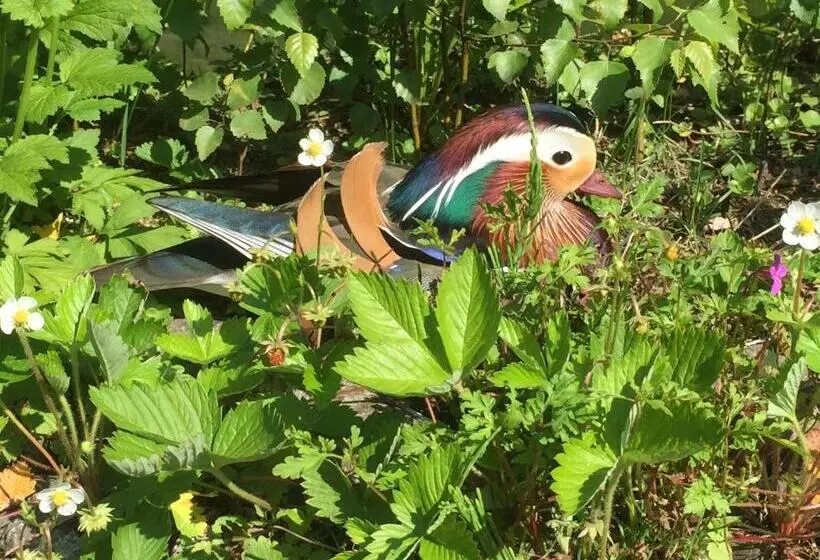 住宿加早餐 Walters Hostel Interlaken