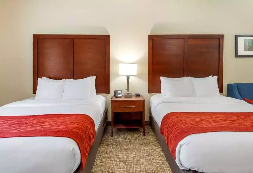 Szálloda Comfort & Inn Suites