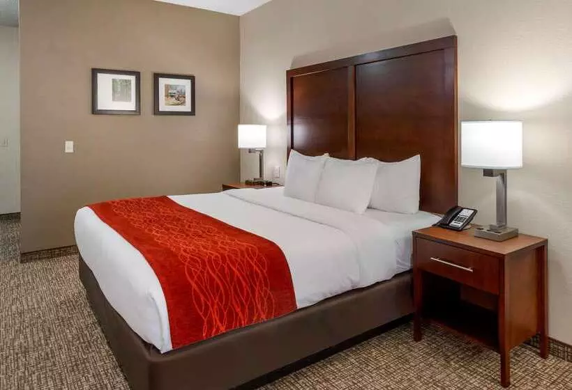 Szálloda Comfort & Inn Suites