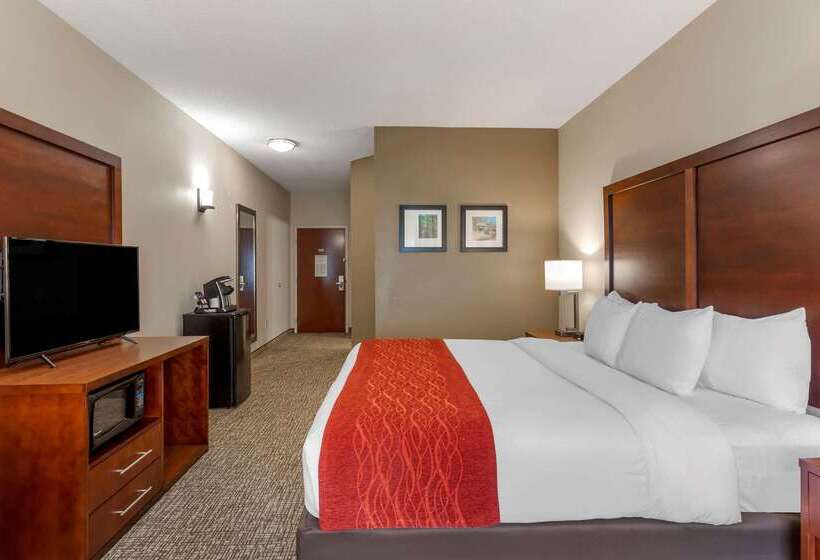 فندق Comfort & Inn Suites