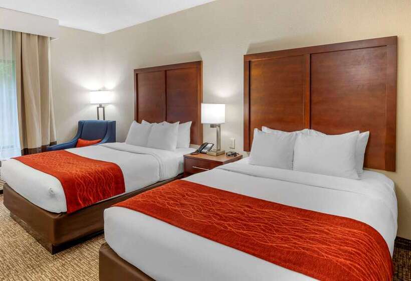 فندق Comfort & Inn Suites