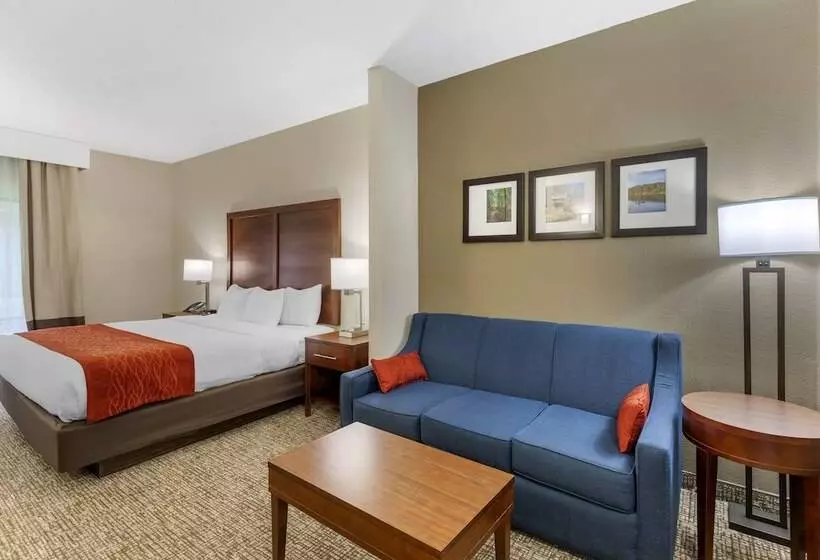 Szálloda Comfort & Inn Suites