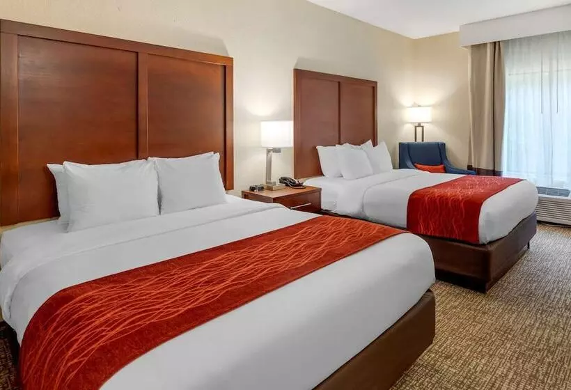 Szálloda Comfort & Inn Suites