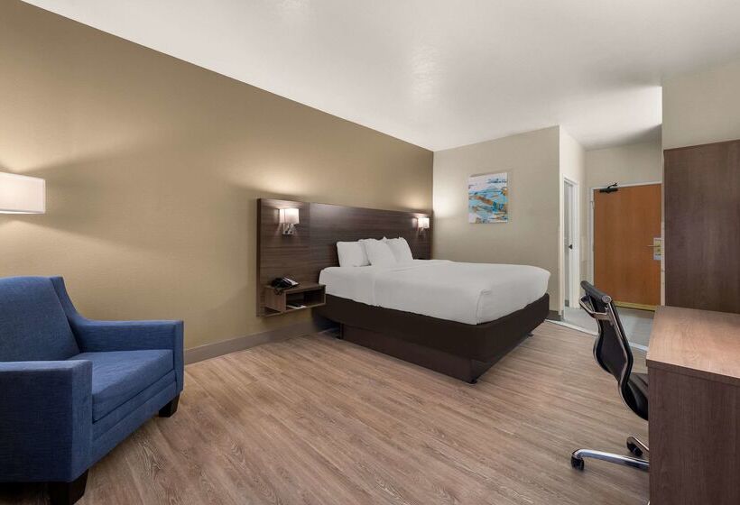 فندق Comfort Inn & Suites