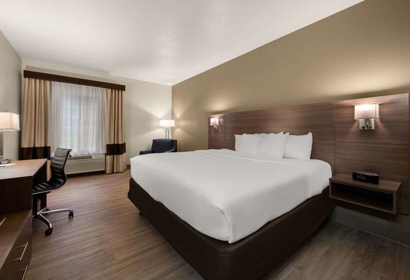 فندق Comfort Inn & Suites