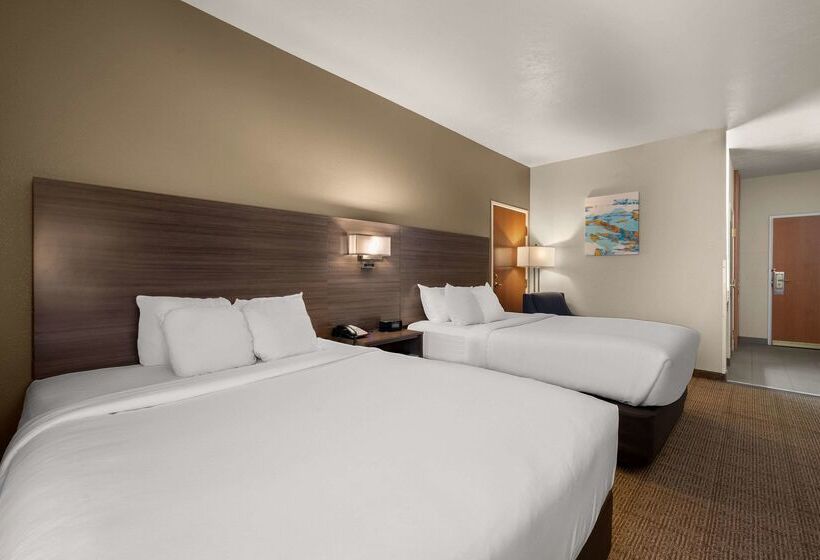 فندق Comfort Inn & Suites