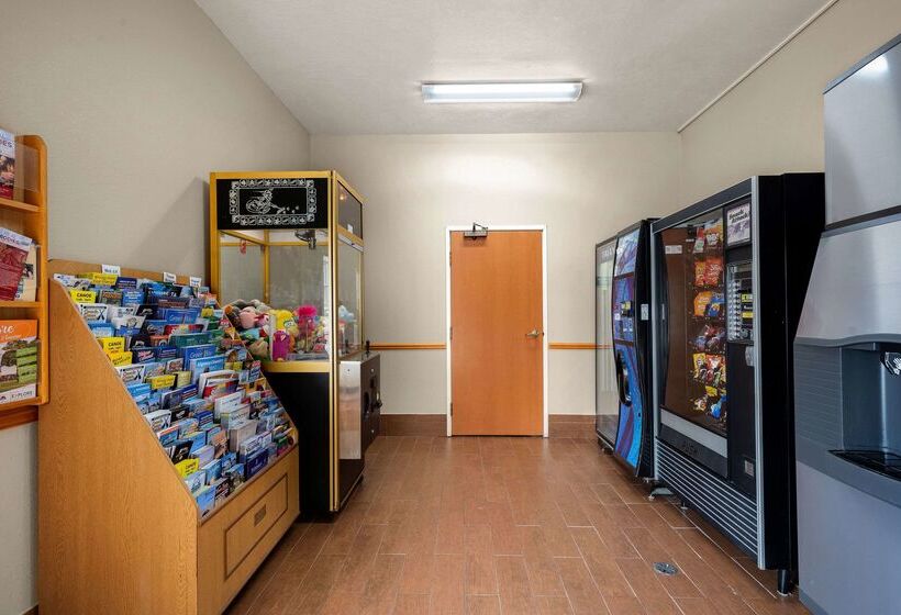 فندق Comfort Inn & Suites