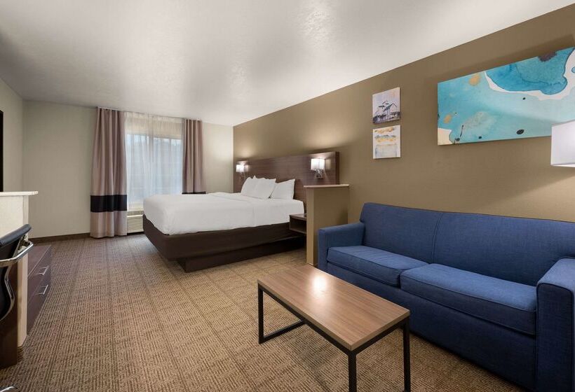 فندق Comfort Inn & Suites