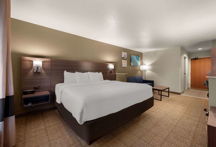 فندق Comfort Inn & Suites