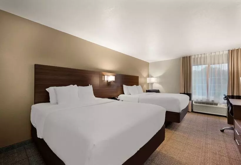 호텔 Comfort Inn & Suites