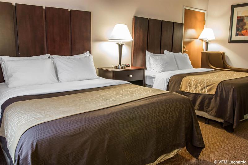 فندق Comfort Inn & Suites