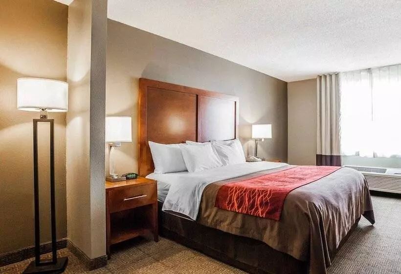 酒店 Comfort Inn & Suites Moberly