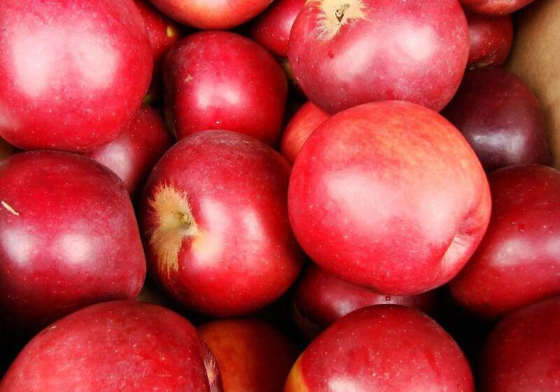 Holiday Inn Express Hotel & Suites El Dorado Hills, An Ihg