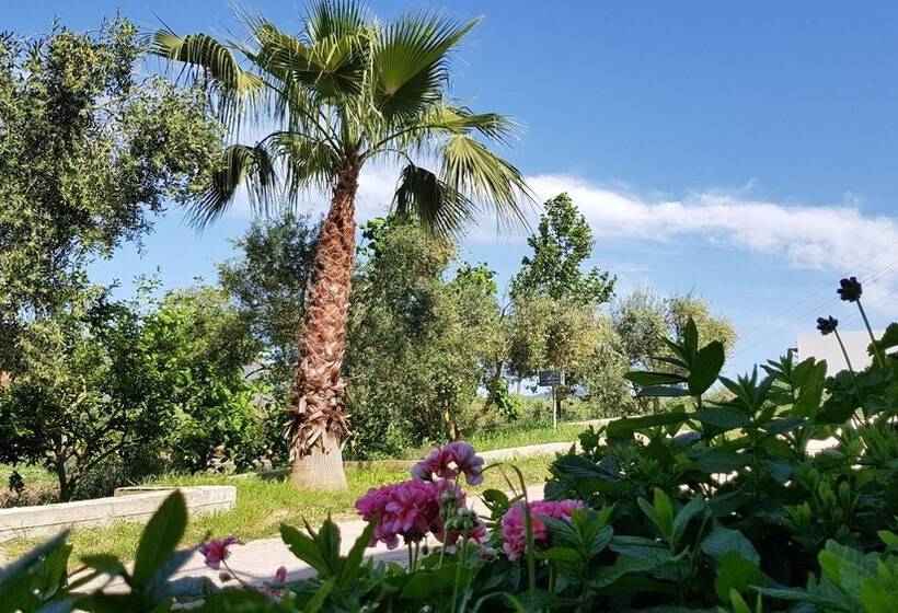 Sozos Inn Hotel Vonitsa