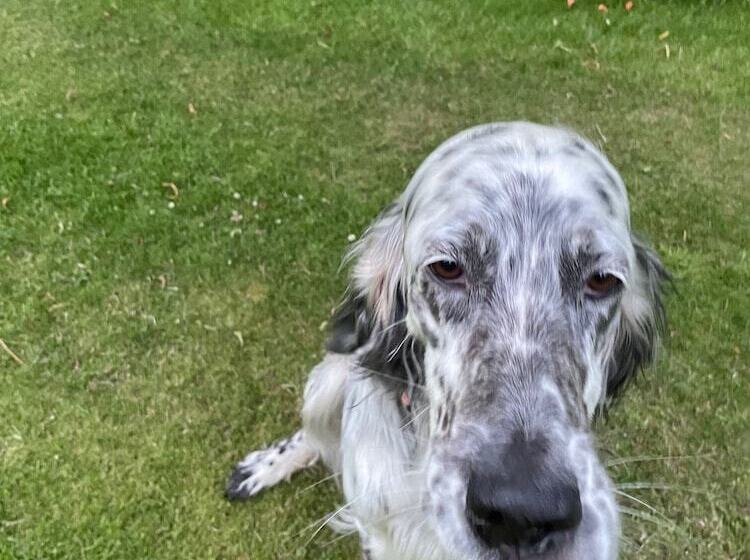 Pensionat The Ship Inn   Winner Best Hotel Experience 2024 Visit Scotland