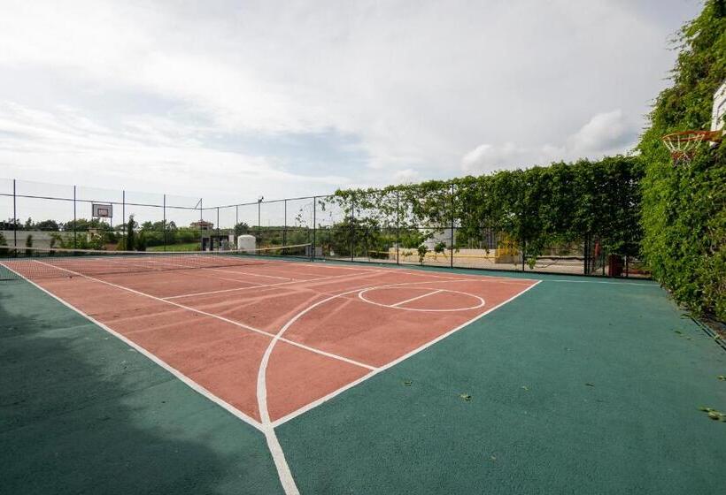 Cenger Beach Resort Spa  All Inclusive