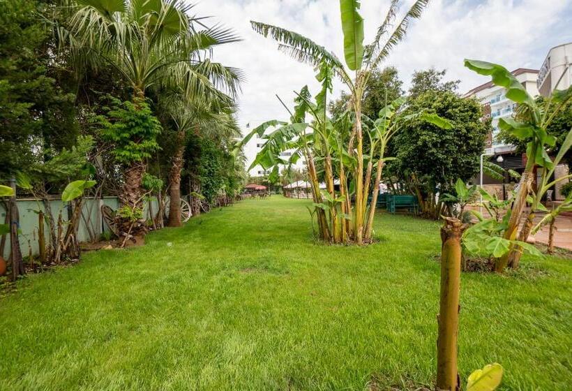 Cenger Beach Resort Spa  All Inclusive