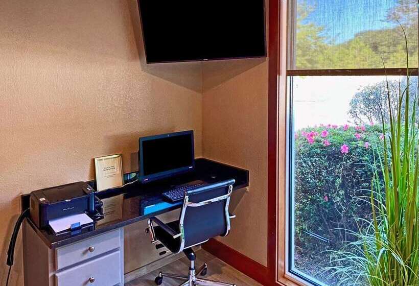 ホテル Comfort Inn & Suites