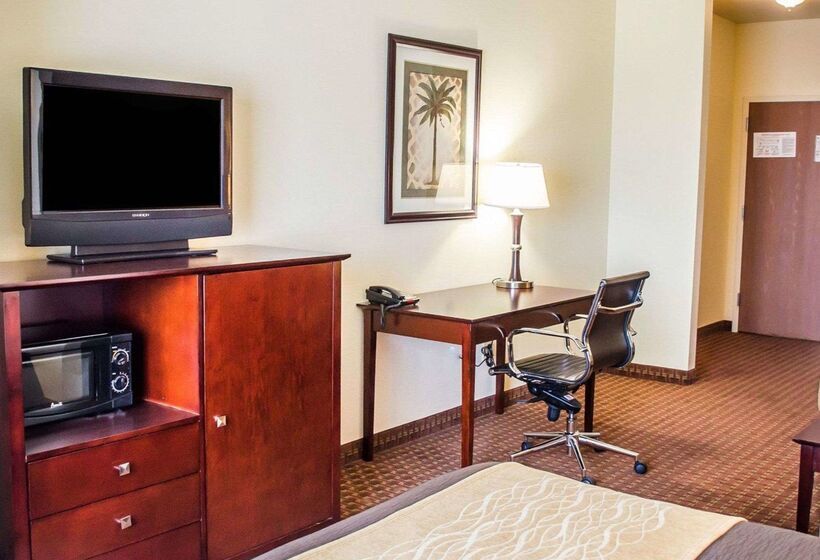 ホテル Comfort Inn & Suites