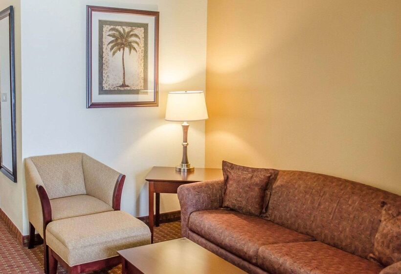 호텔 Comfort Inn & Suites