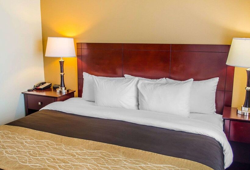 ホテル Comfort Inn & Suites