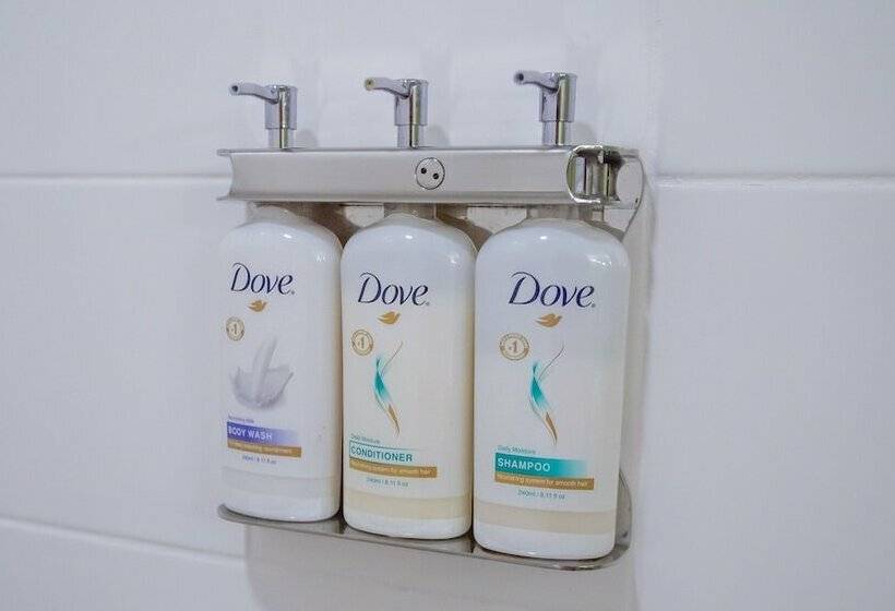 酒店 Holiday Inn Express Hickory   Hickory Mart, An Ihg