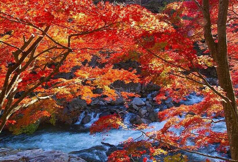 فندق Iwaki Washington