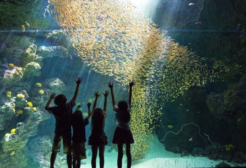 فندق Iwaki Washington