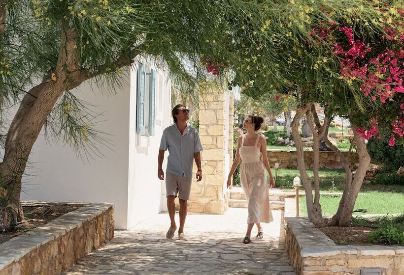 בית מלון כפרי Olvos Koufonisia