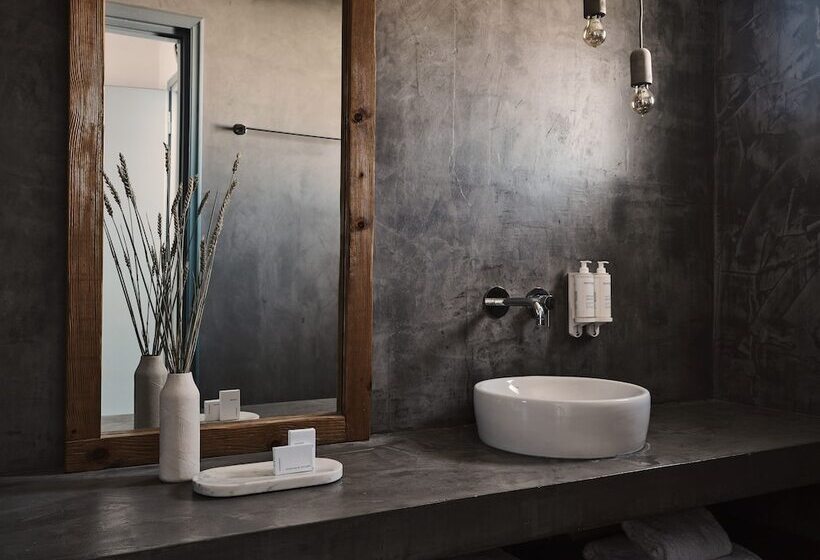 בית מלון כפרי Olvos Koufonisia