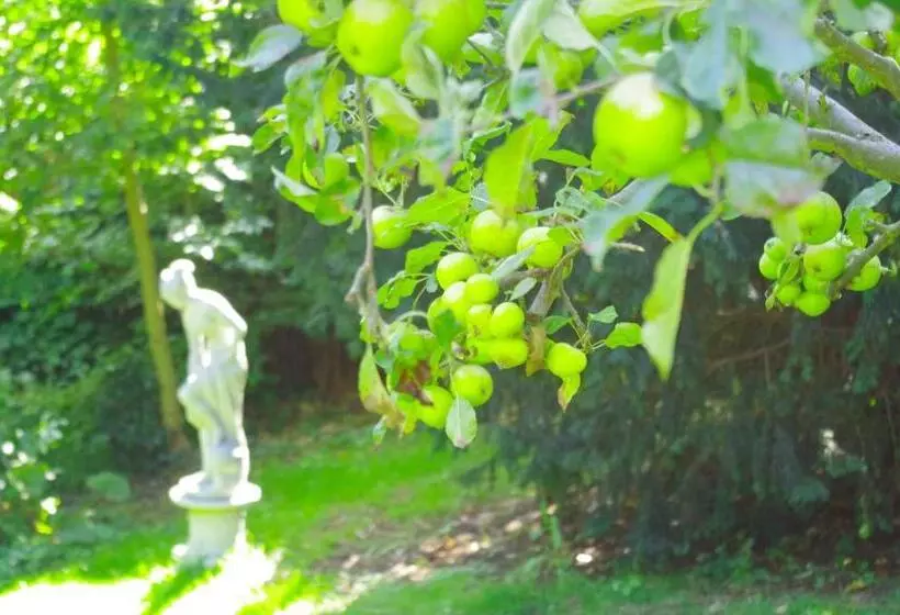 Отель The Grange B&b