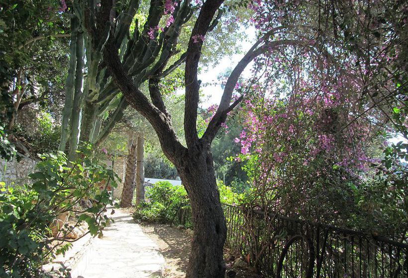 Serena Suites Aparthotel