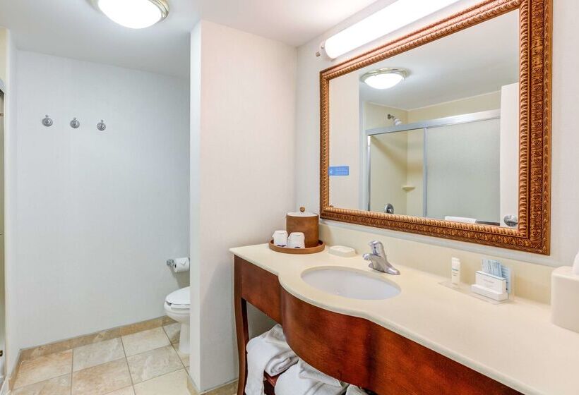 호텔 Hampton Inn & Suites Westfordchelmsford