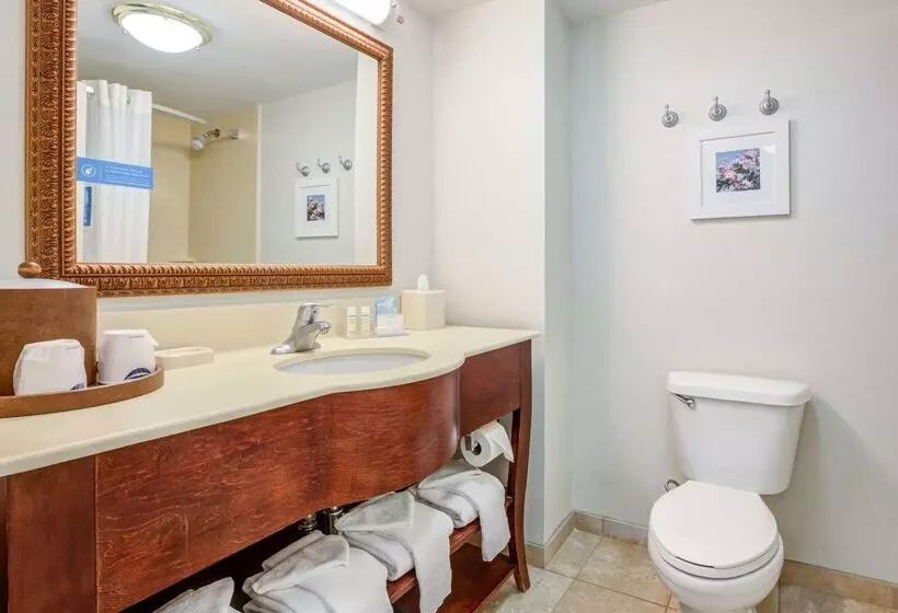 酒店 Hampton Inn & Suites Westfordchelmsford