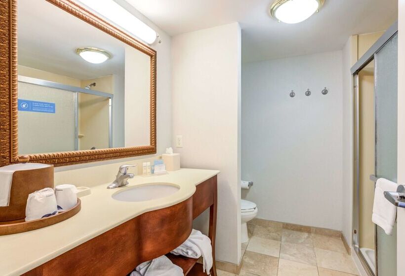 호텔 Hampton Inn & Suites Westfordchelmsford