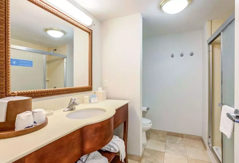 酒店 Hampton Inn & Suites Westfordchelmsford