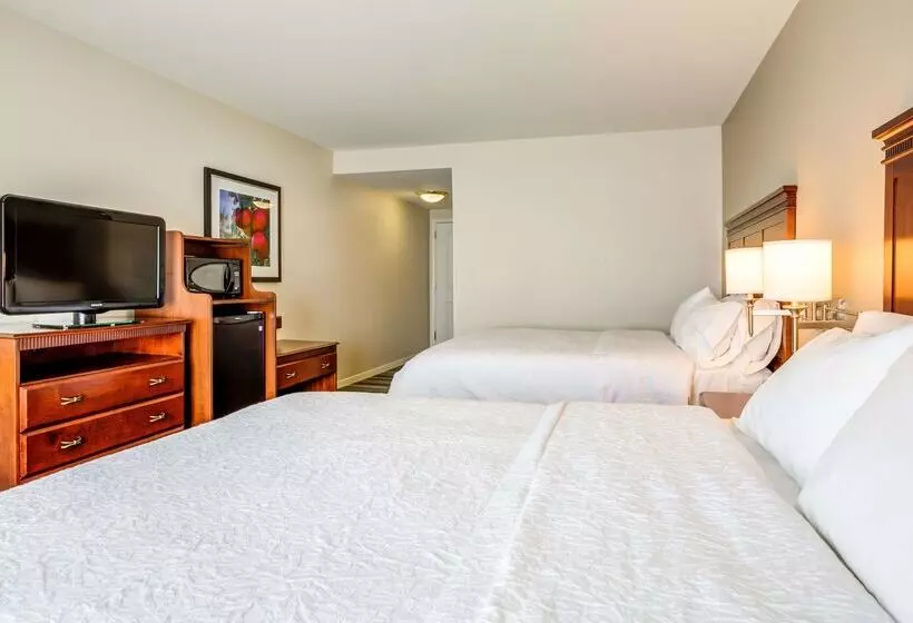 酒店 Hampton Inn & Suites Westfordchelmsford