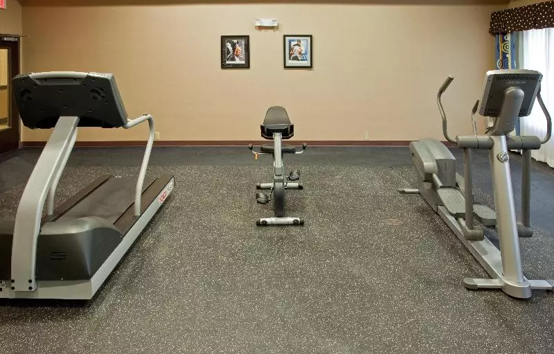 Holiday Inn Express Hotel & Suites Austin South   Buda