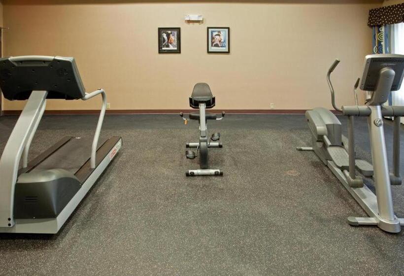 Holiday Inn Express Hotel & Suites Austin South   Buda