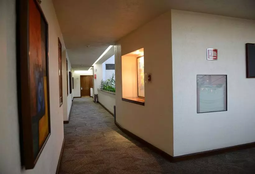 ホテル Ramada Via Veneto Mexico City South