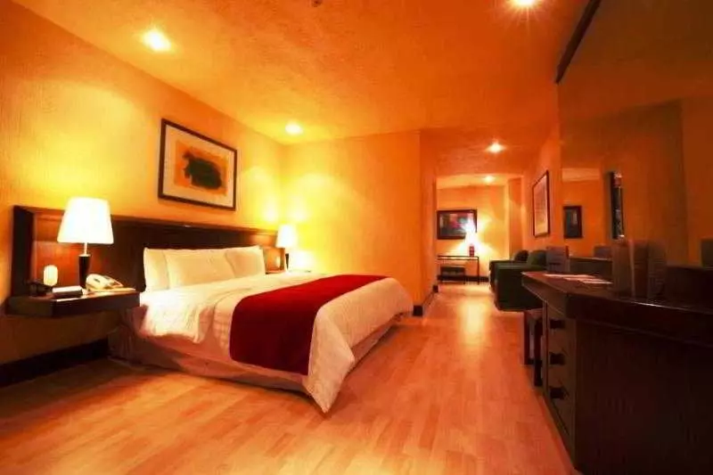ホテル Ramada Via Veneto Mexico City South