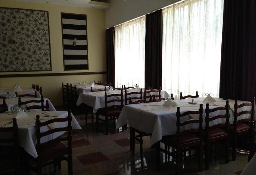 בית מלון כפרי Ovidiu